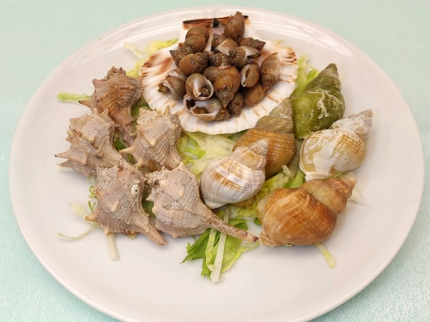 Misto di lumache di mare