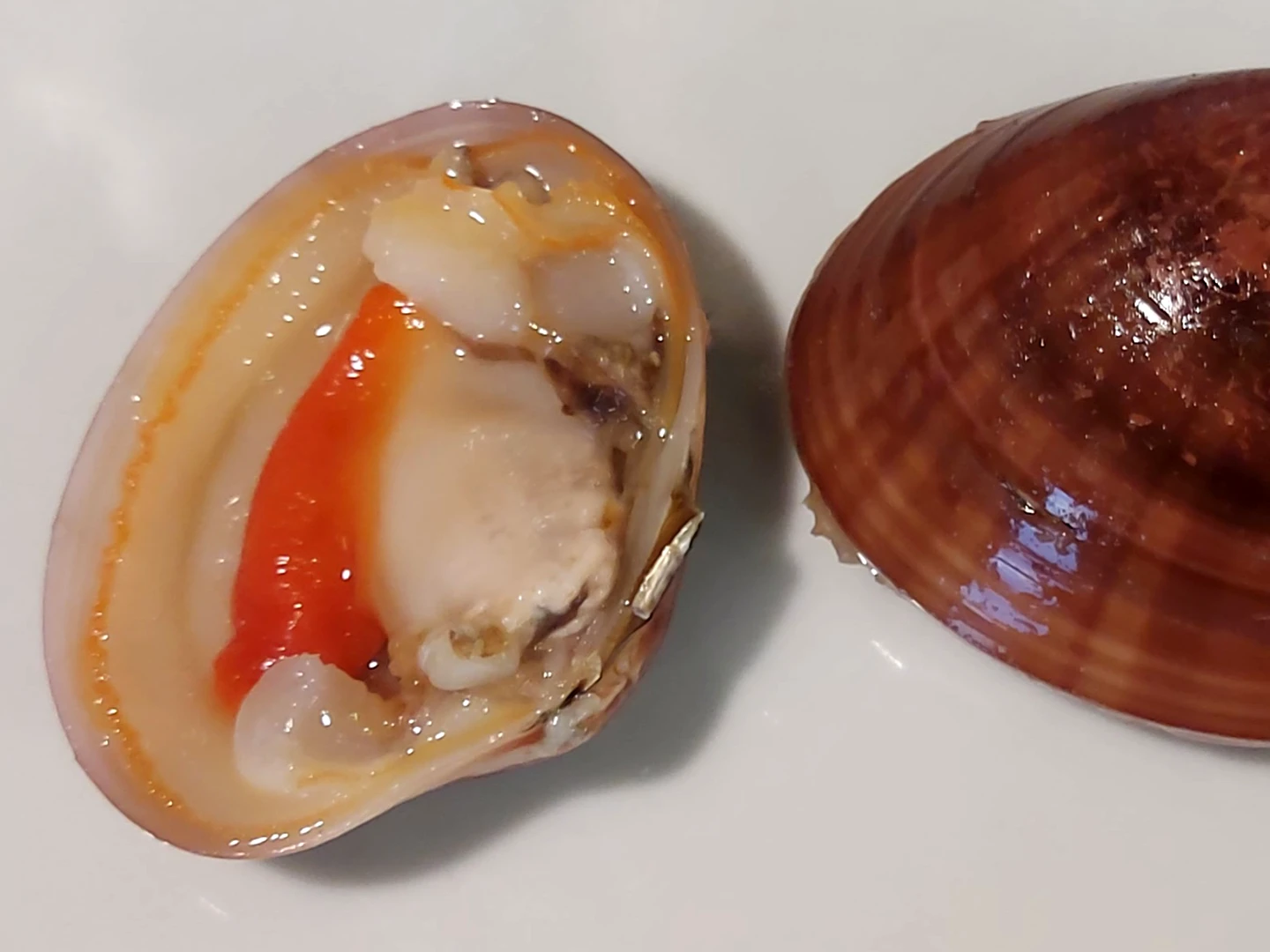 fasolari