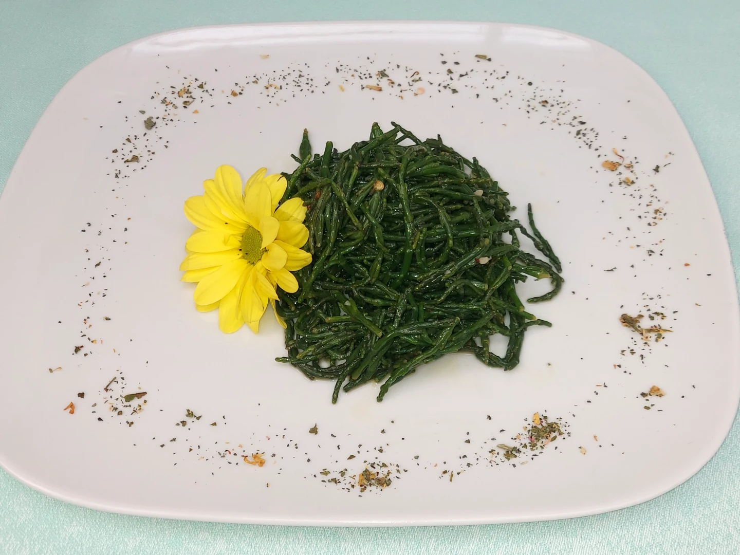 salicornia