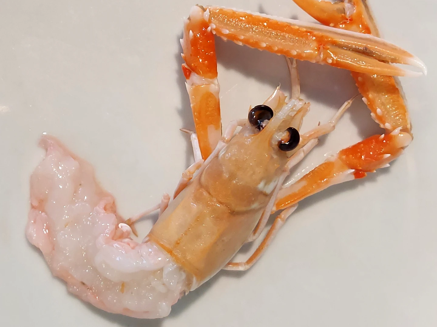 scampi crudi